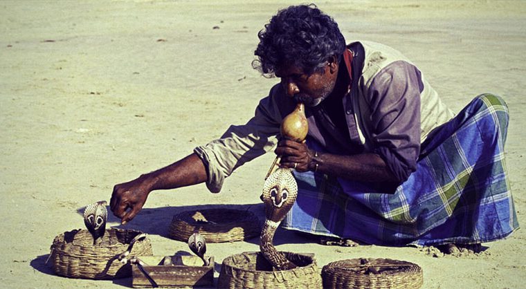 Snake charmer India